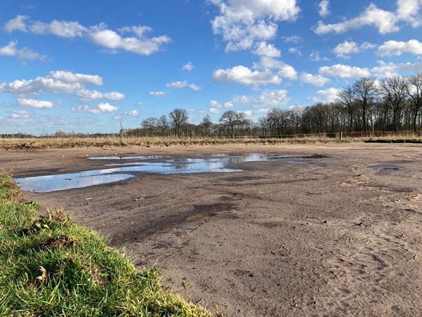 Kan ik zaaien met nat weer?