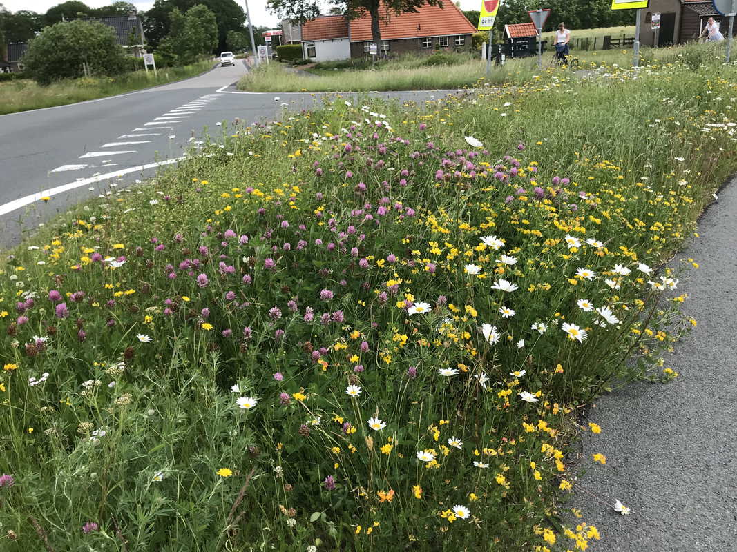 G5 Bloemrijke bermen : Zakje voor 15-25M2