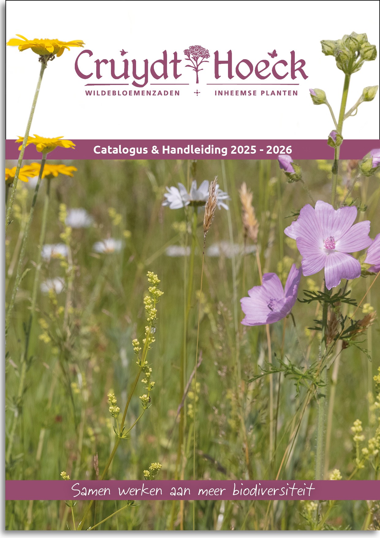 Catalogus en Handleiding