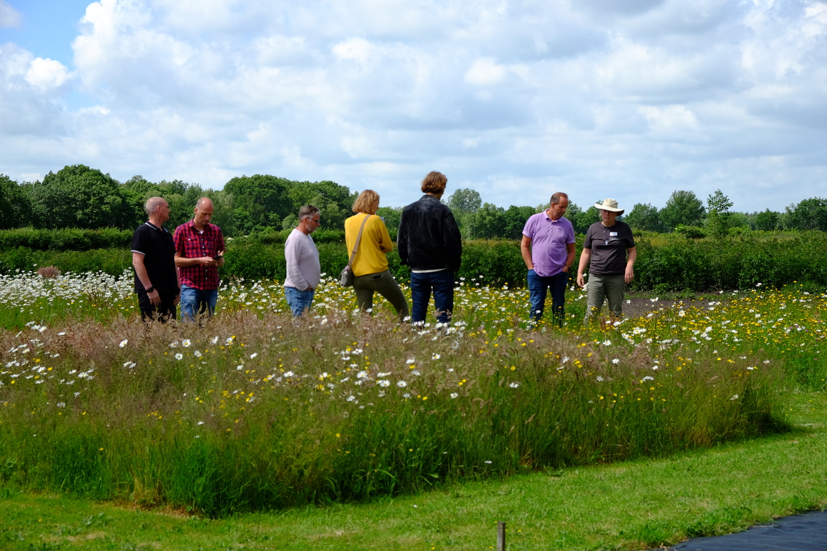 Groepsrondleiding 14 juli 13.00-14.30u