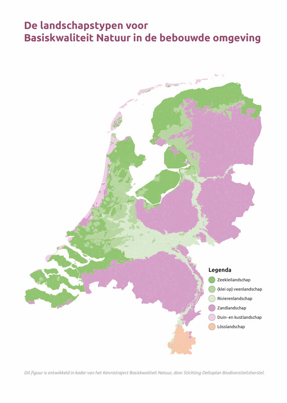 BKN rivier - bebouwde omgeving : Losse grammen