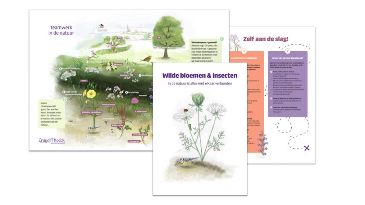 Lespakket Basisschool N1 : Lespakket met N1 zaden