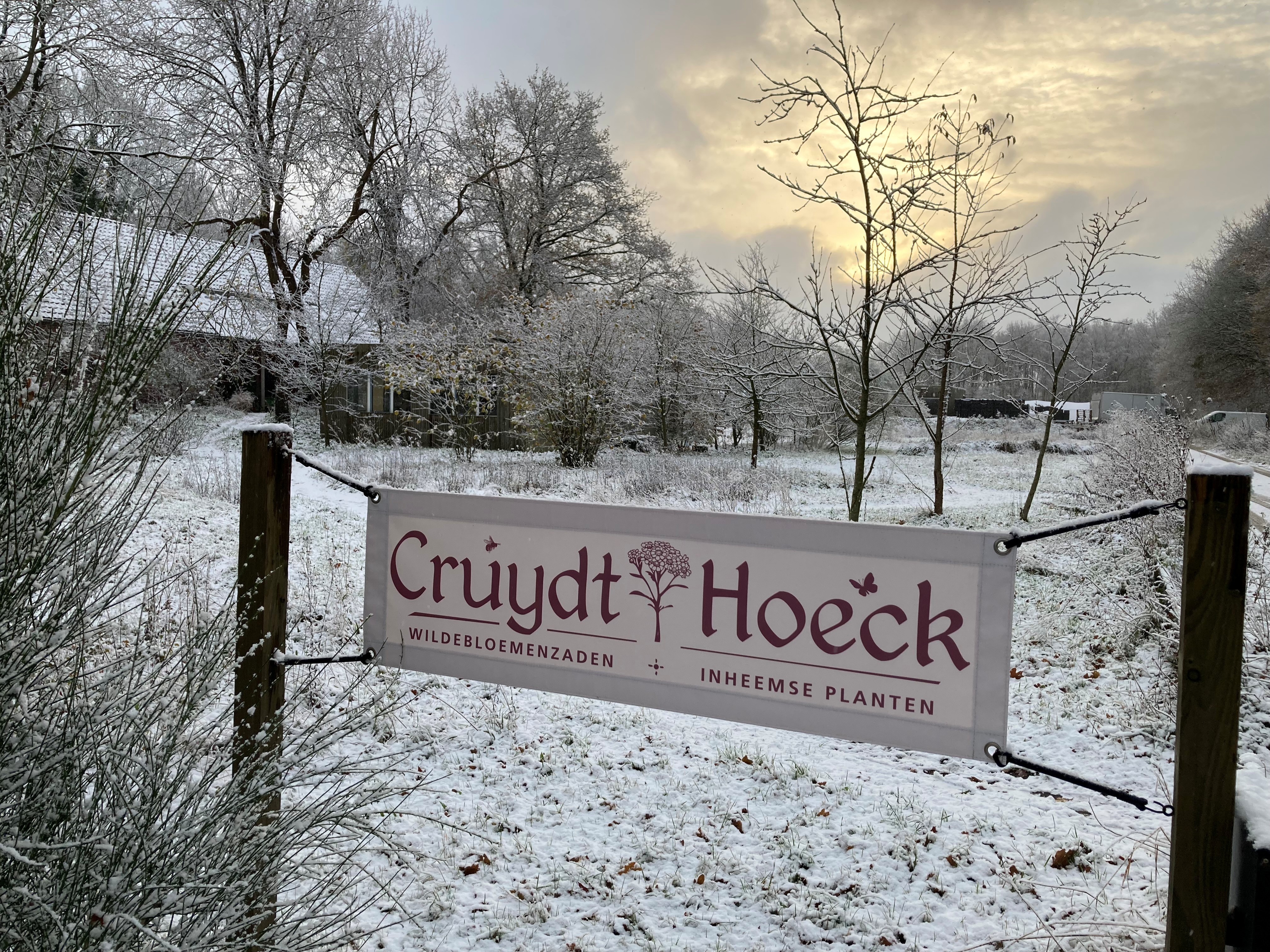 Aangepaste verzendtijden