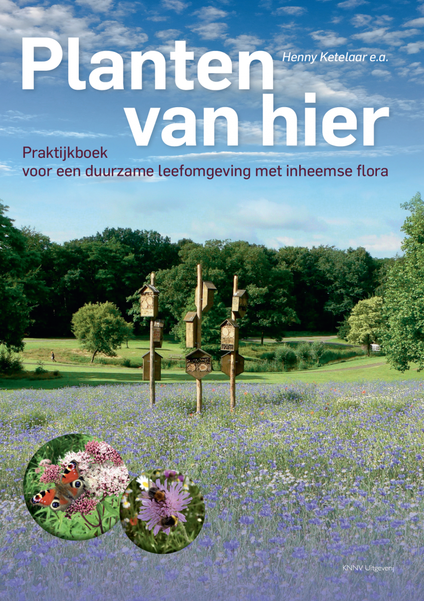 Planten van hier - Henny Ketelaar e.a. : boek