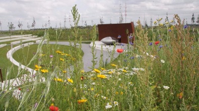 Bloemenweide bij Monument MH17