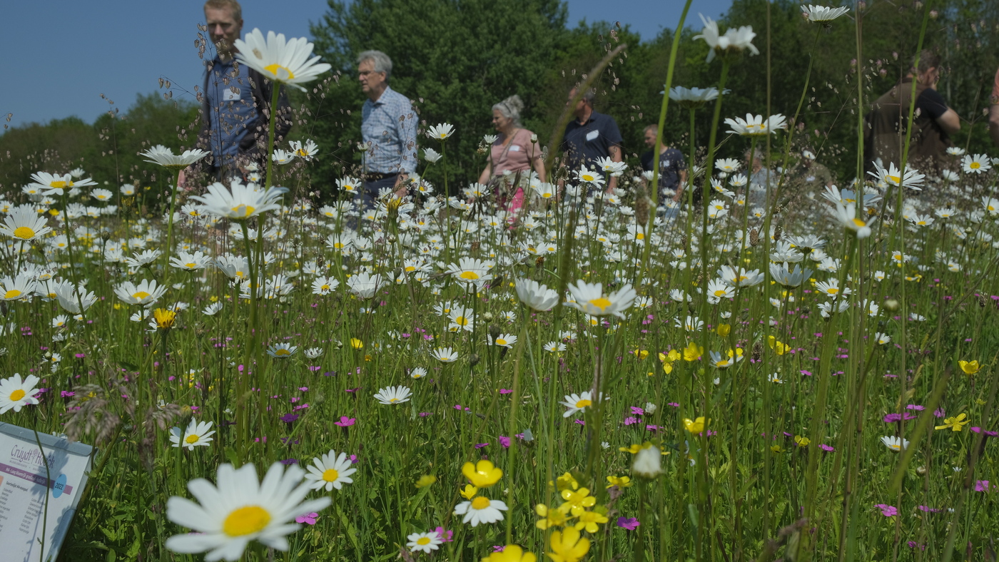 Bloemenweidecursus : 28 mei Leiderdorp