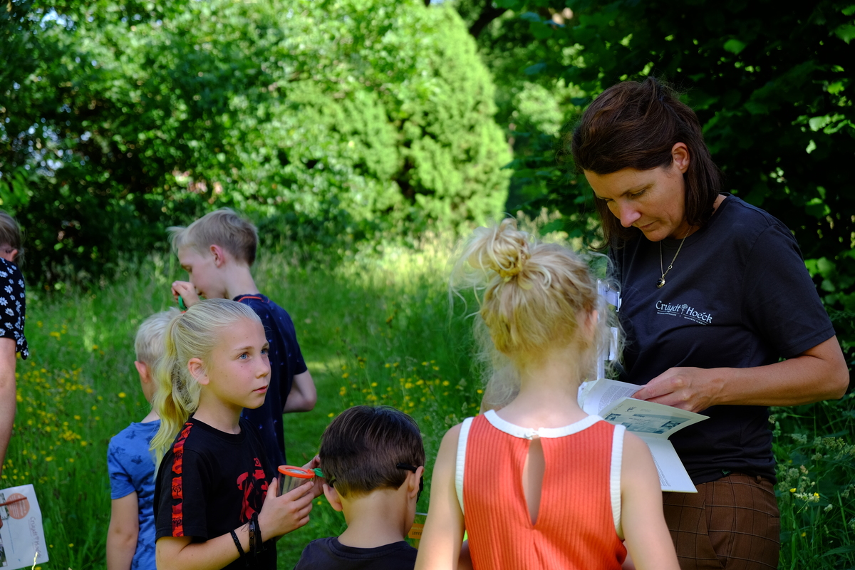 Plantpakket Schoolplein Hoeckje