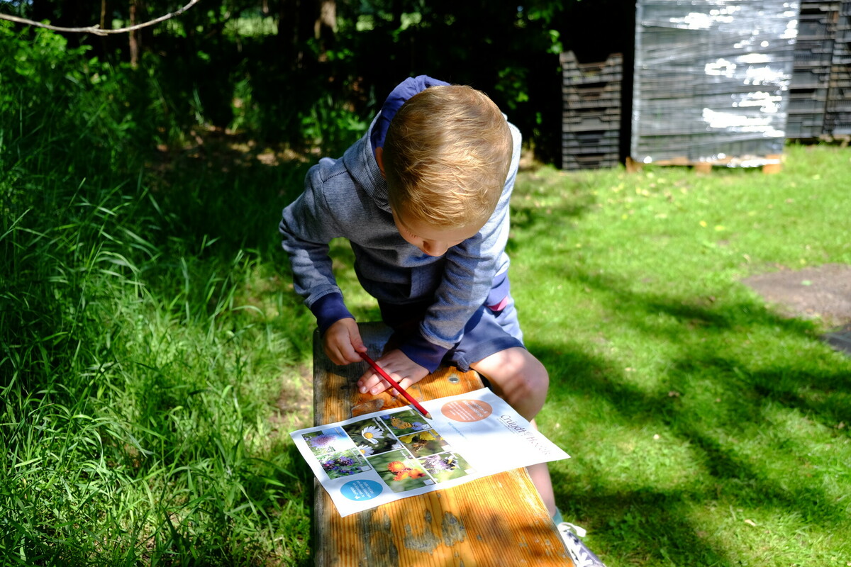 Samen met kinderen de bloemenweide ontdekken