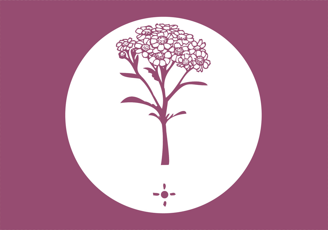 Schapengras - Festuca guestfalica : Zakje