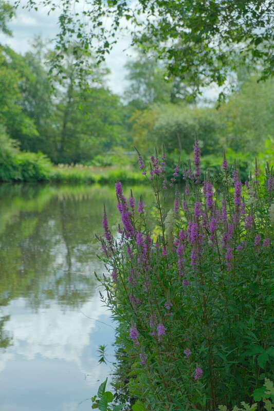 Meer variatie in beplanting en landschap