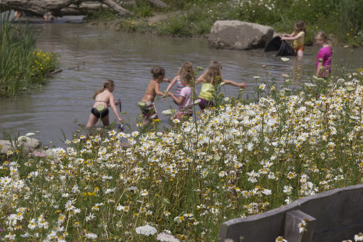 S1  Speelnatuur : Losse grammen