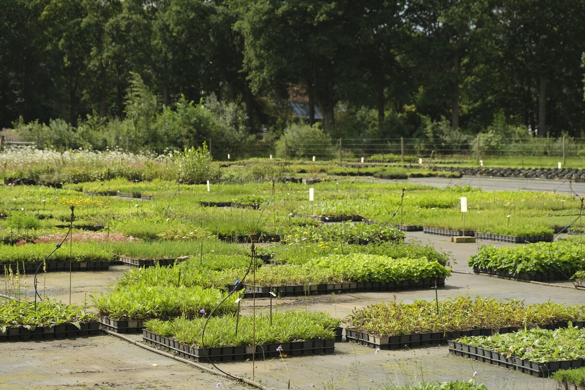 Winter Hoeckje Actiepakket