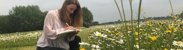 Het beste landschap voor bestuivers