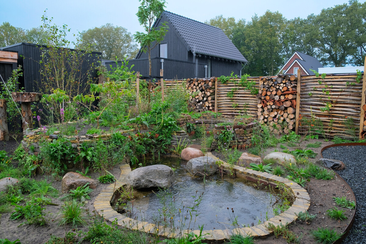 Tuin