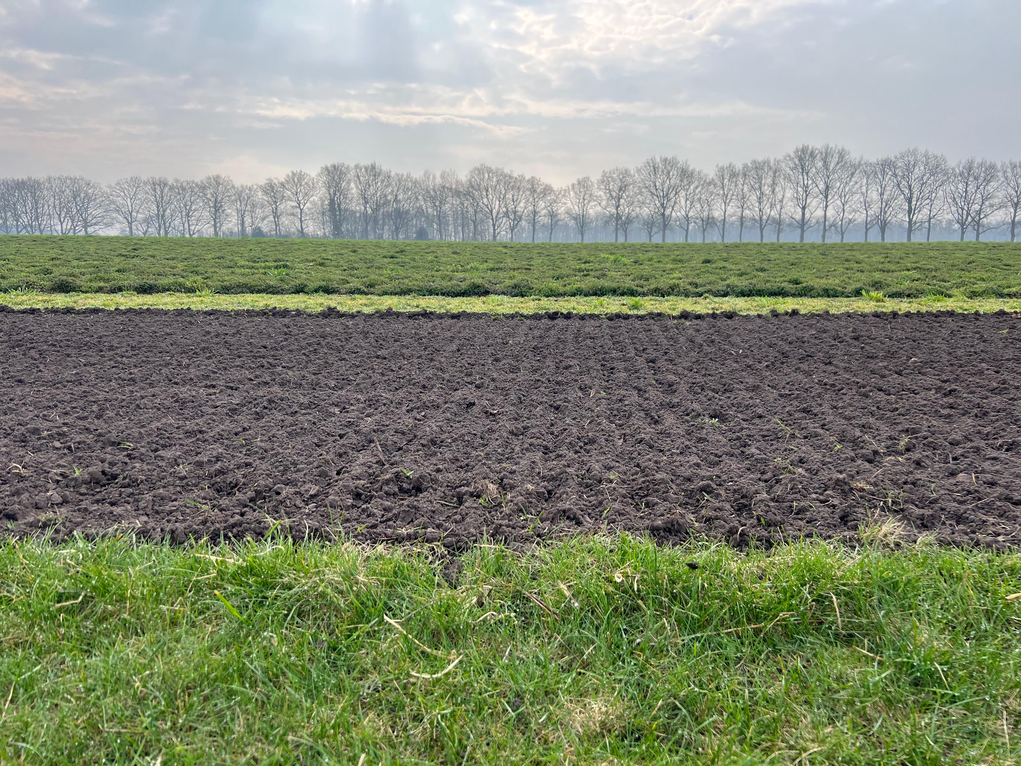 Mijn zadenmengsel komt niet op