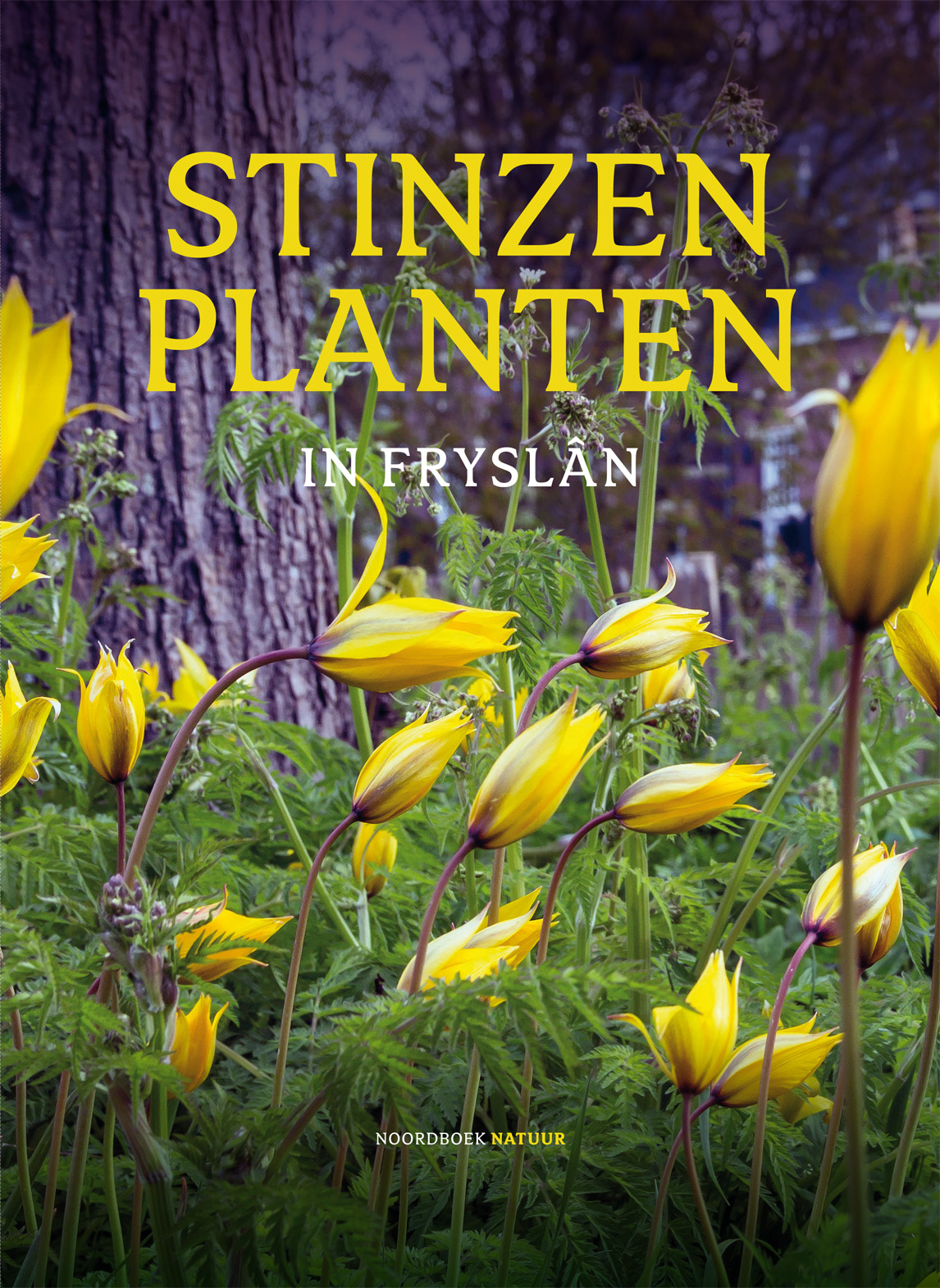 Stinzenplanten in Fryslan : boek