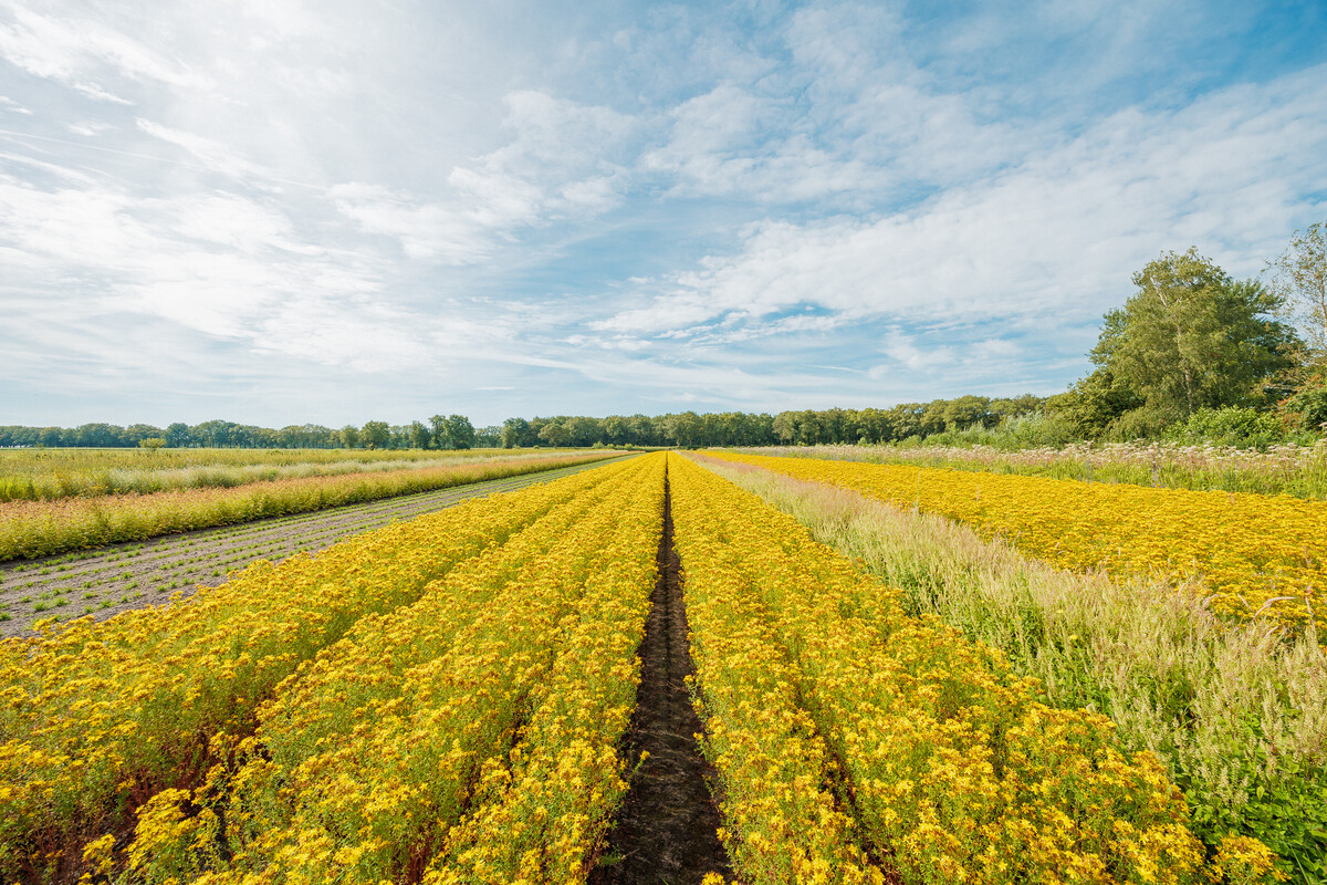 Nieuw bankrekeningnummer