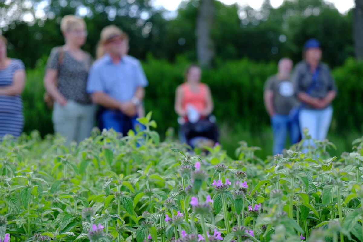 Draagvlak voor een bloemenweide