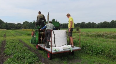 Cruydt-Hoeck heeft een nieuwe oogstmachine